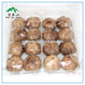 Natural China Black Garlic Price in Blister Package